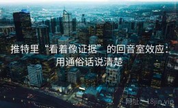 推特里“看着像证据”的回音室效应：用通俗话说清楚