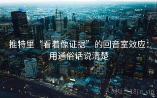 推特里“看着像证据”的回音室效应：用通俗话说清楚