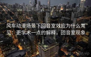 风车动漫场景下回音室效应为什么常见：更学术一点的解释，回音室现象