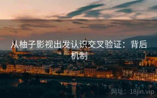 从柚子影视出发认识交叉验证：背后机制