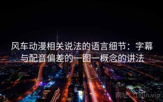 风车动漫相关说法的语言细节：字幕与配音偏差的一图一概念的讲法