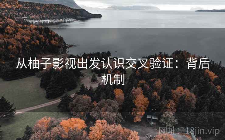 从柚子影视出发认识交叉验证：背后机制